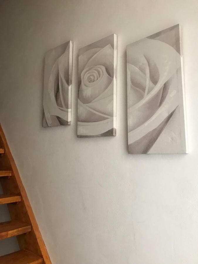 Il nido - Cozy studio apartment in Santa Croce Firenze Esterno foto
